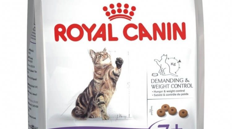 ROYAL CANIN dla kotów po sterylizacji